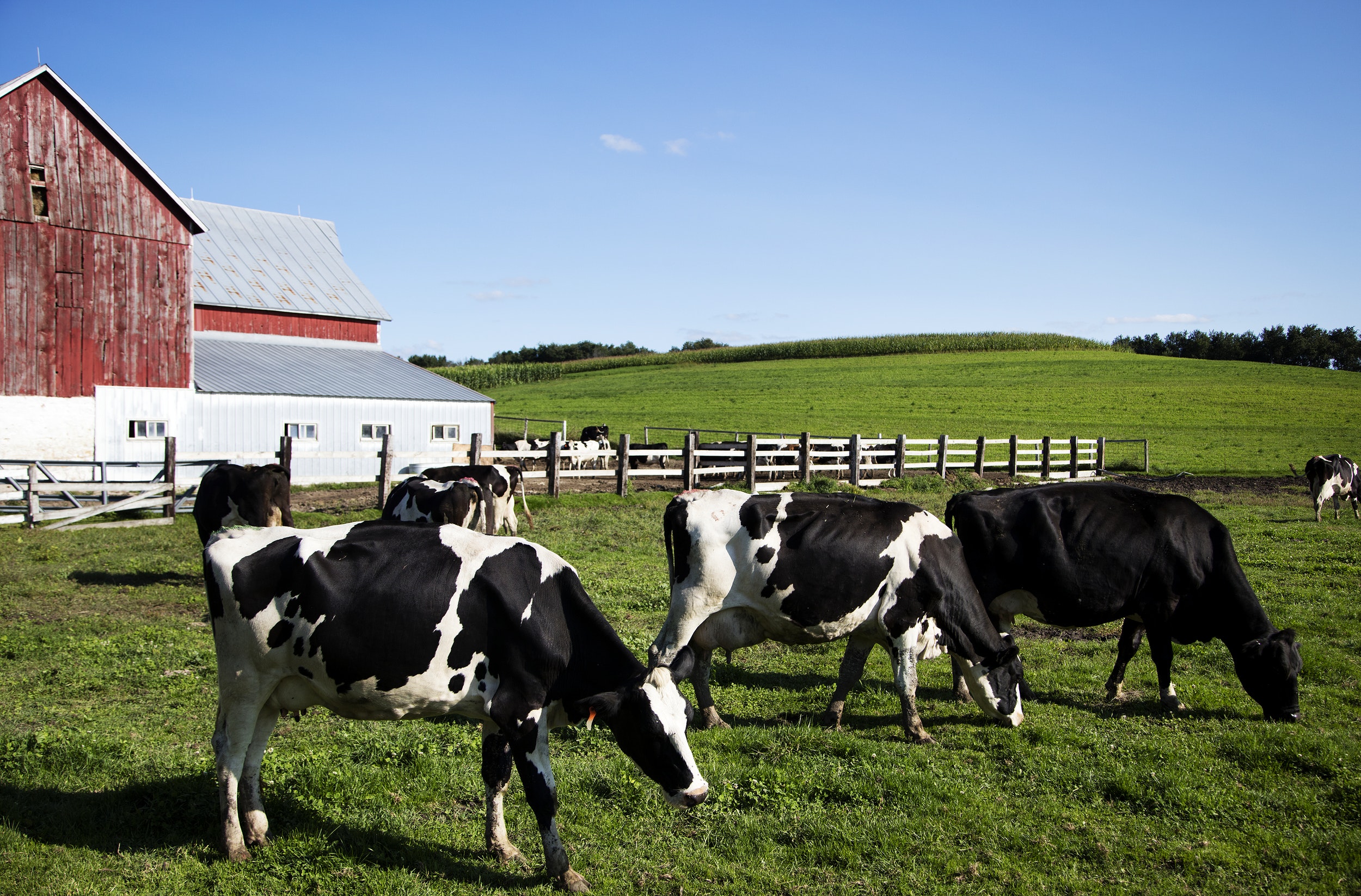 Dairy Industry & Environment - Southwest Dairy Farmers